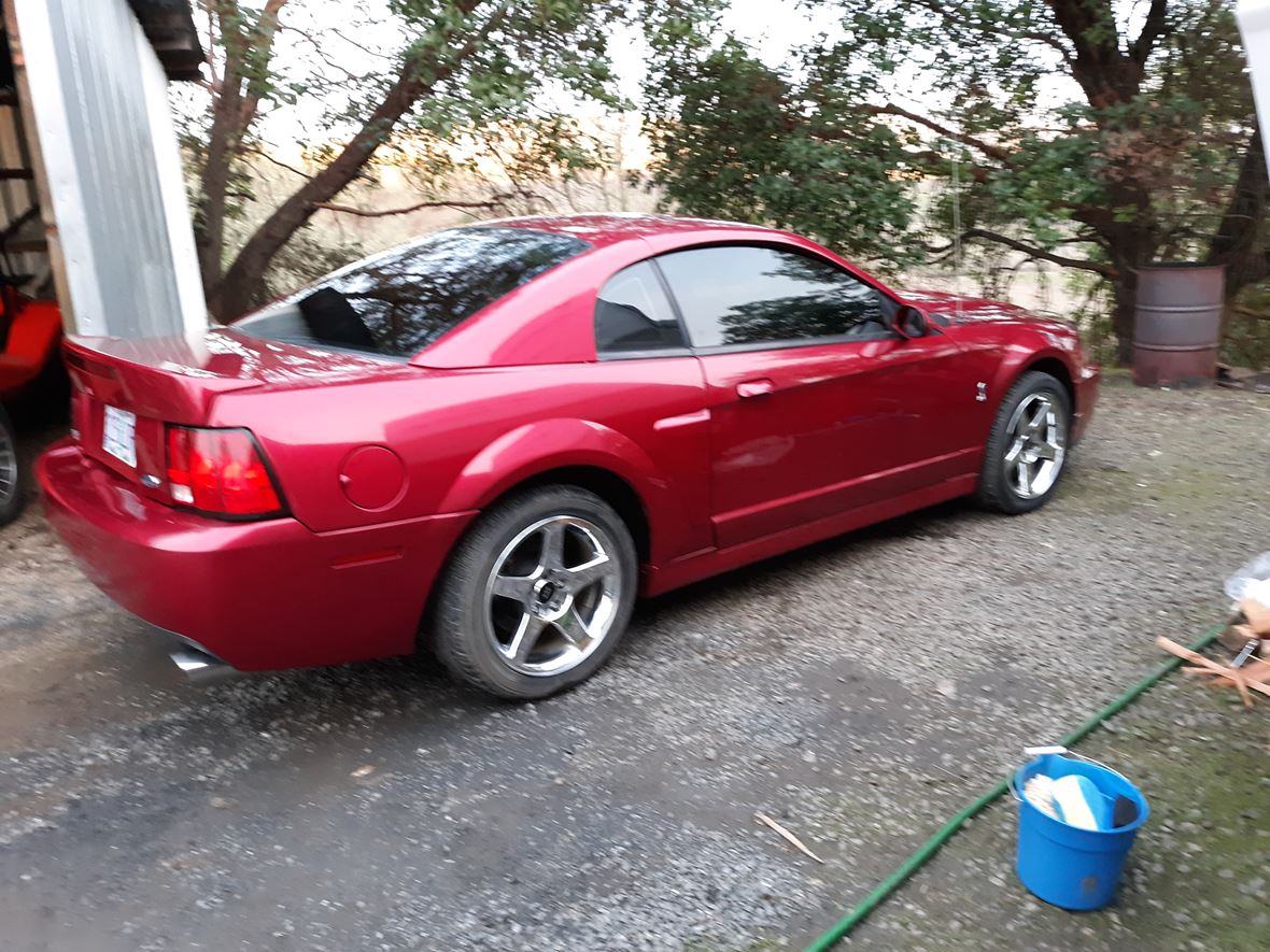 2003 Ford Mustang SVT Cobra for sale by owner in Roseburg