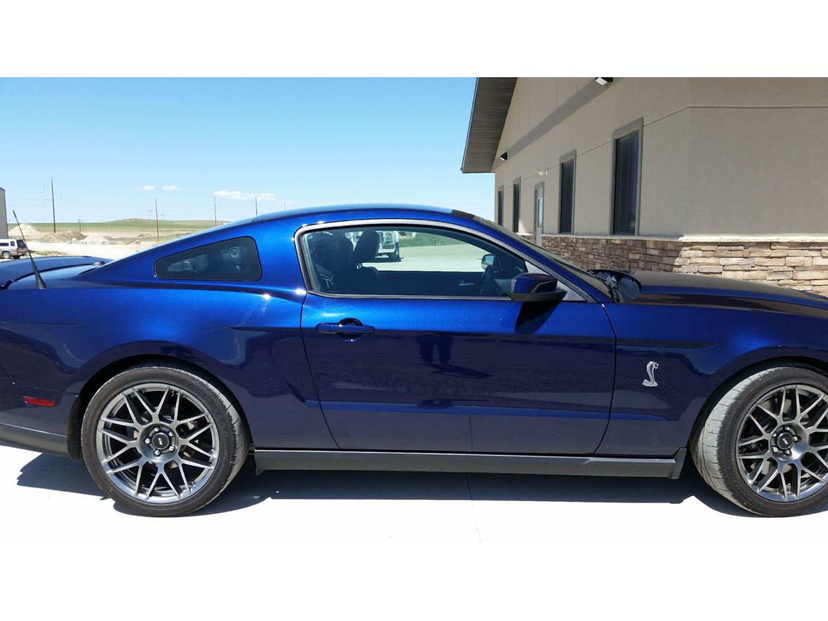 2011 Ford Shelby GT500 for sale by owner in Sheridan