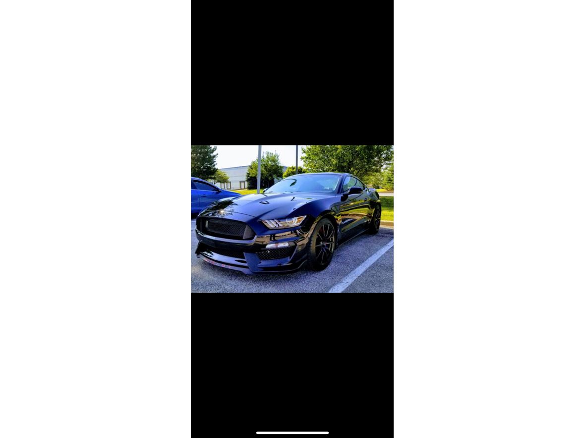 2016 Ford Mustang Shelby Cobra GT350 for sale by owner in Noblesville