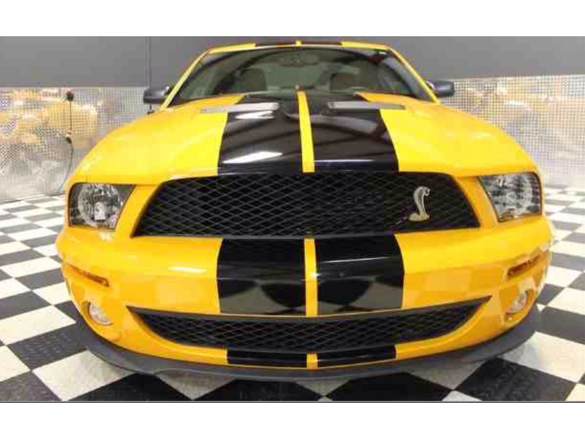 2007 Ford Shelby GT500 for sale by owner in Beverly Hills