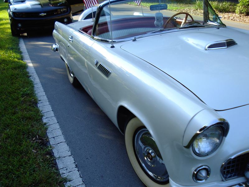 1955 Ford Thunderbird for sale by owner in Ocala