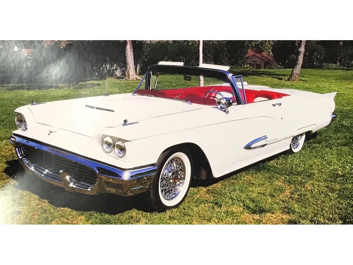 1959 Ford Thunderbird for sale by owner in Castaic