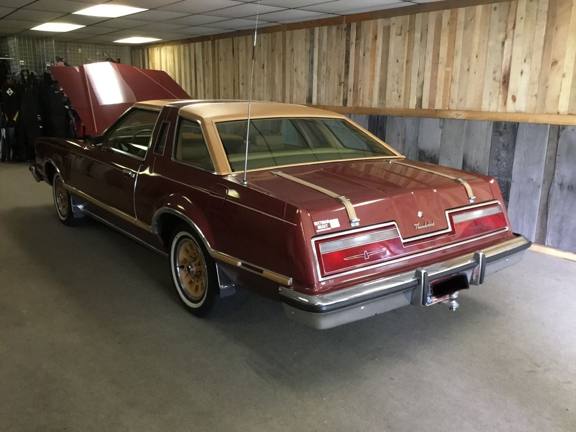 1978 Ford Thunderbird for sale by owner in Ludington