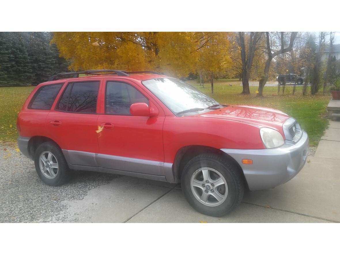 2004 Hyundai Santa Fe for sale by owner in South Lyon