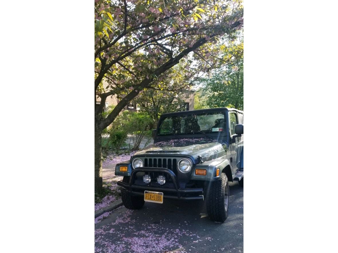 2003 Jeep Wrangler for sale by owner in New York