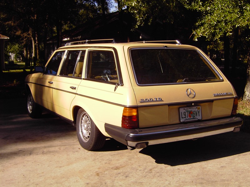 1981 Mercedes-Benz C 300 for sale by owner in LIVE OAK