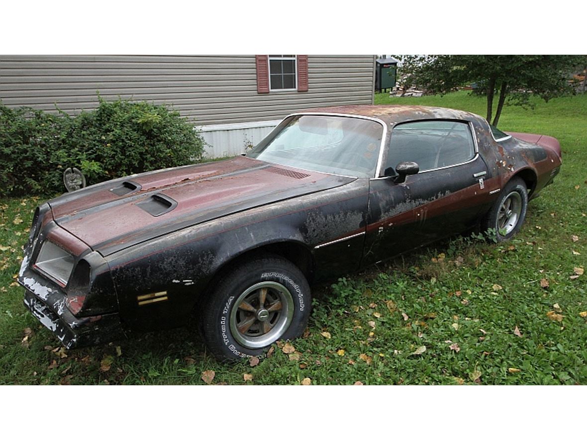 1976 Pontiac Firebird for sale by owner in Annapolis