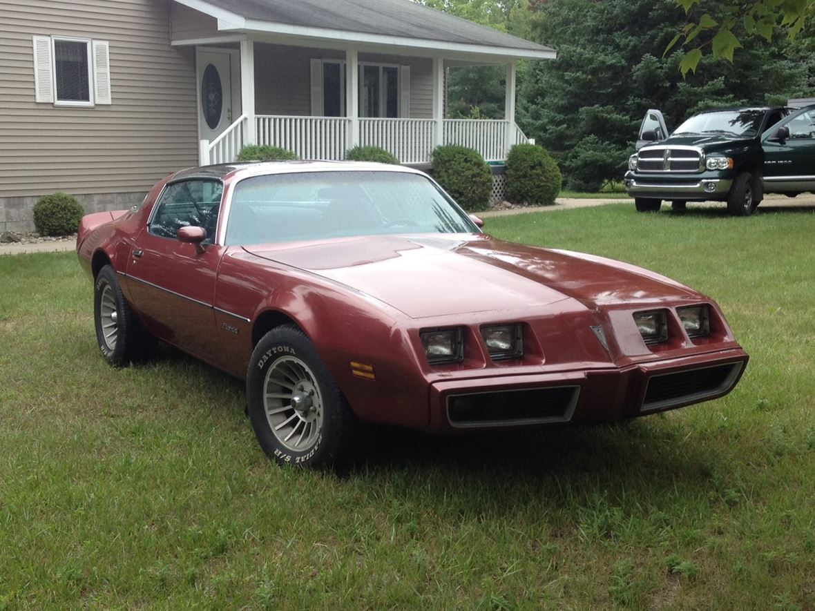 1979 Pontiac Firebird Antique Car Gladstone, MI 49837