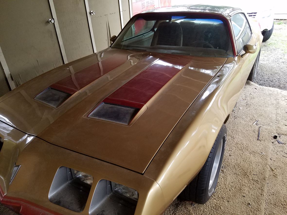 1980 Pontiac Firebird for sale by owner in Puyallup
