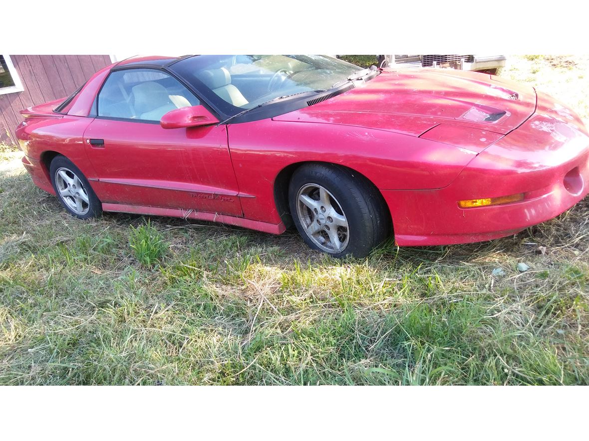 1995 Pontiac Firebird for sale by owner in Louisville