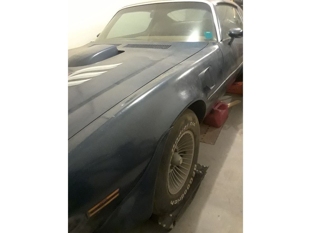 1974 Pontiac Firebird for sale by owner in Grand Junction