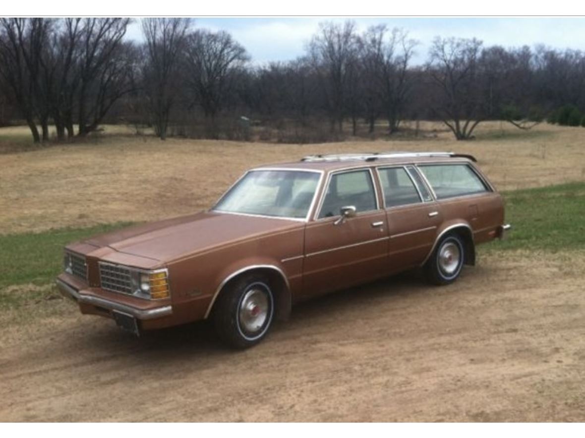 1979 Pontiac LeMans Safari Wagon for sale by owner in Strum