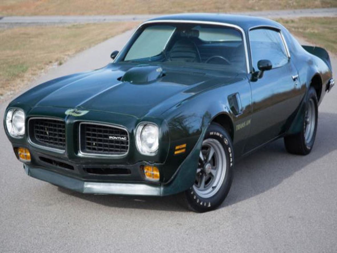 1973 Pontiac Trans Am for sale by owner in Cotulla