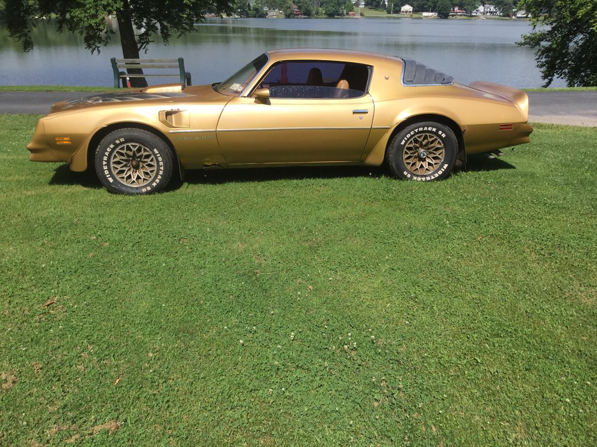1978 Pontiac Transam for sale by owner in Lake Huntington
