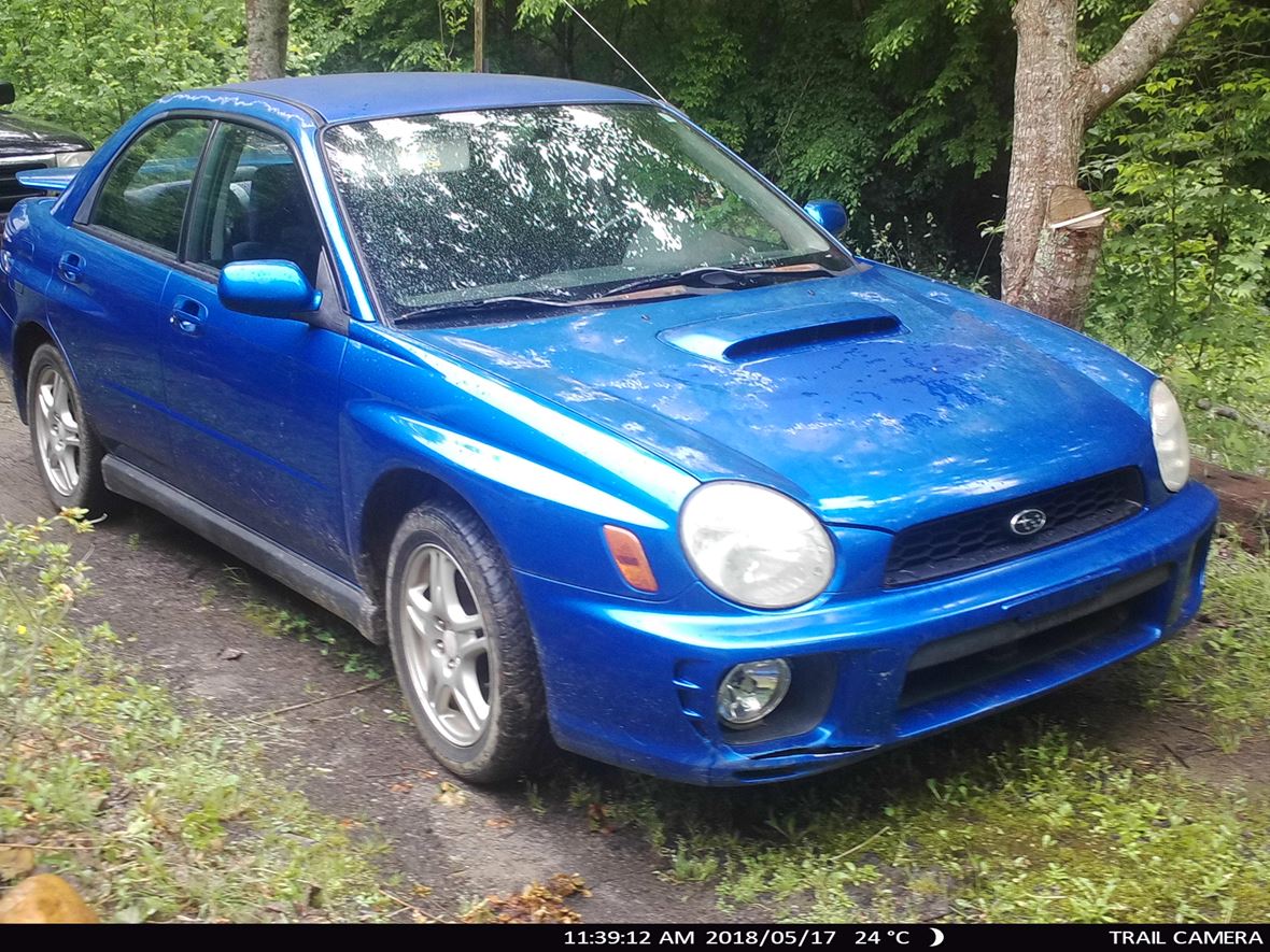 2002 Subaru Impreza WRX for sale by owner in Dahlonega