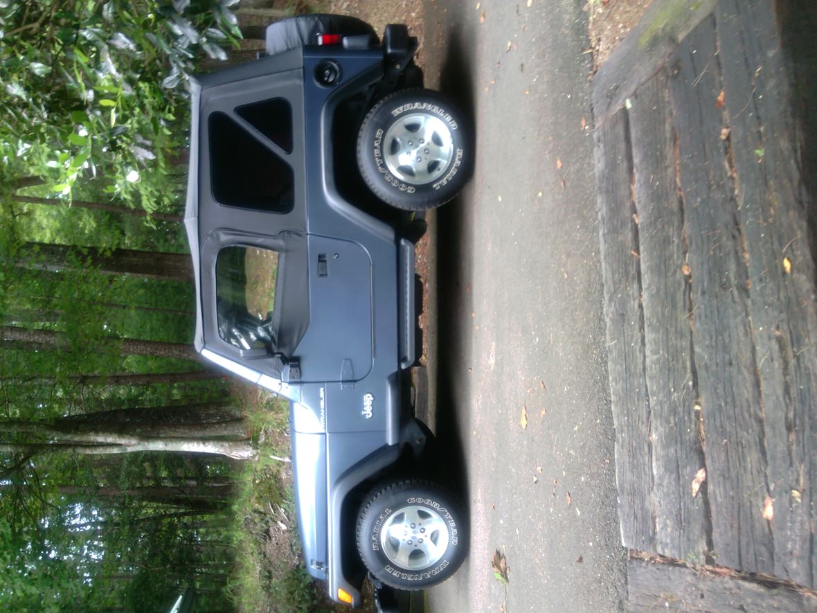 2002 Toyota Jeep Wrangler for sale by owner in Ellijay