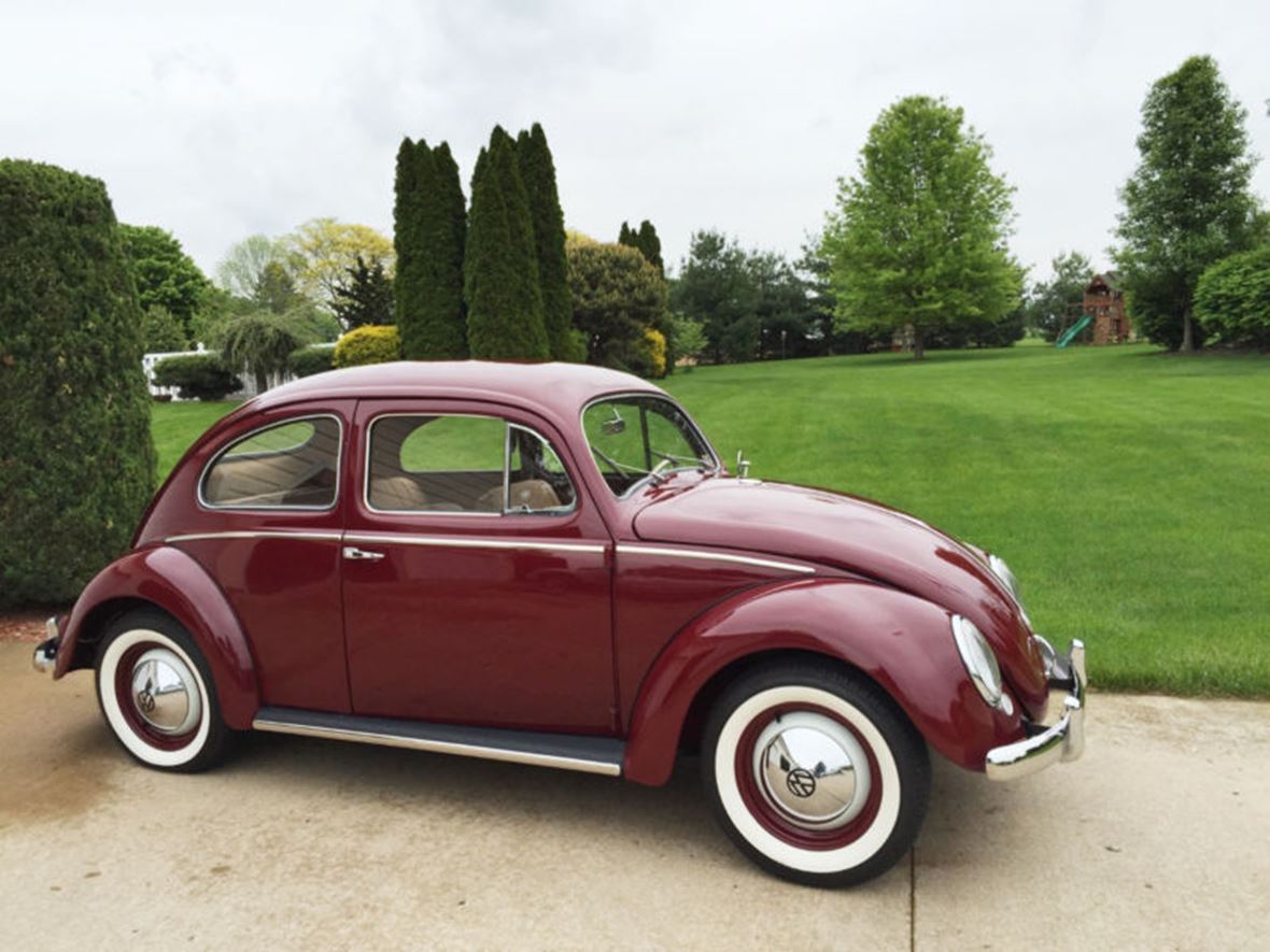 1955 Volkswagen Beetle Cabrio for sale by owner in Glenside