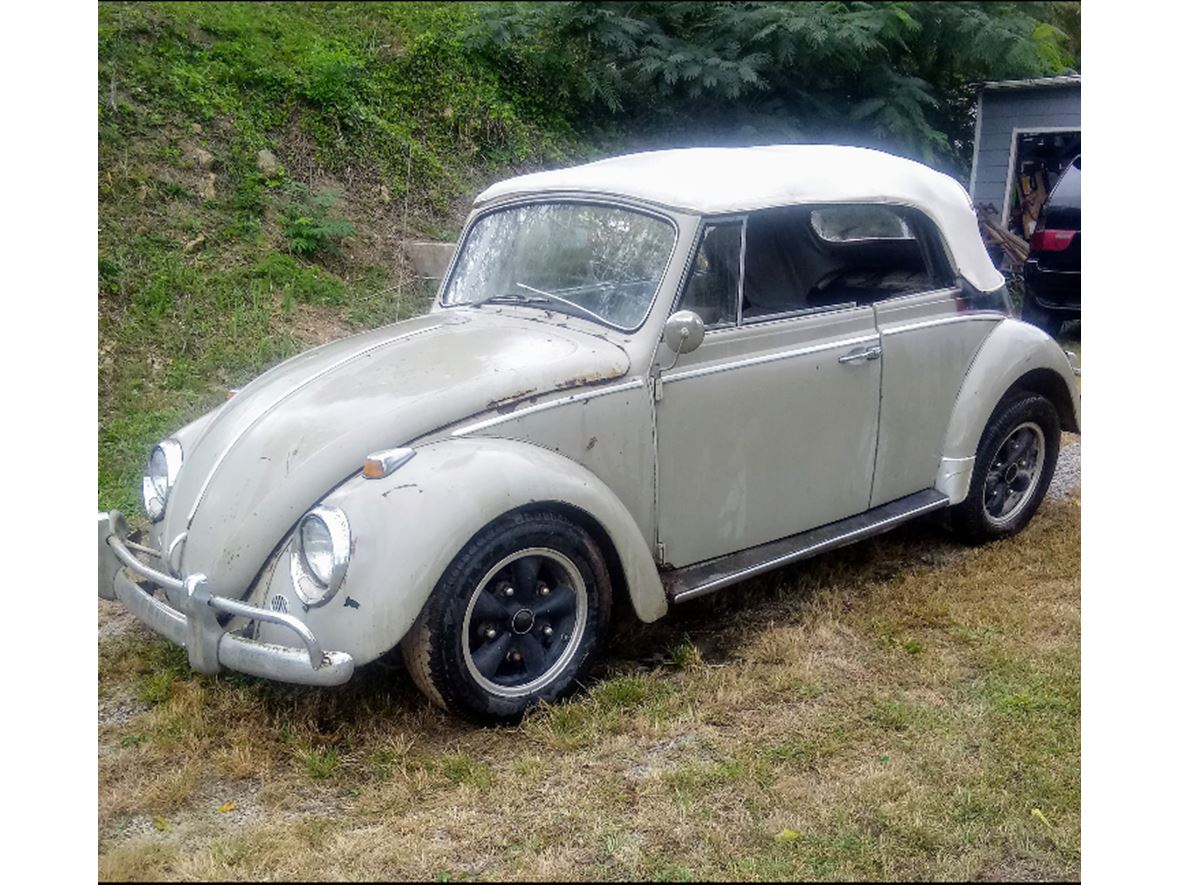 1967 Volkswagen Beetle Convertible Antique Car Rogersville Tn 37857
