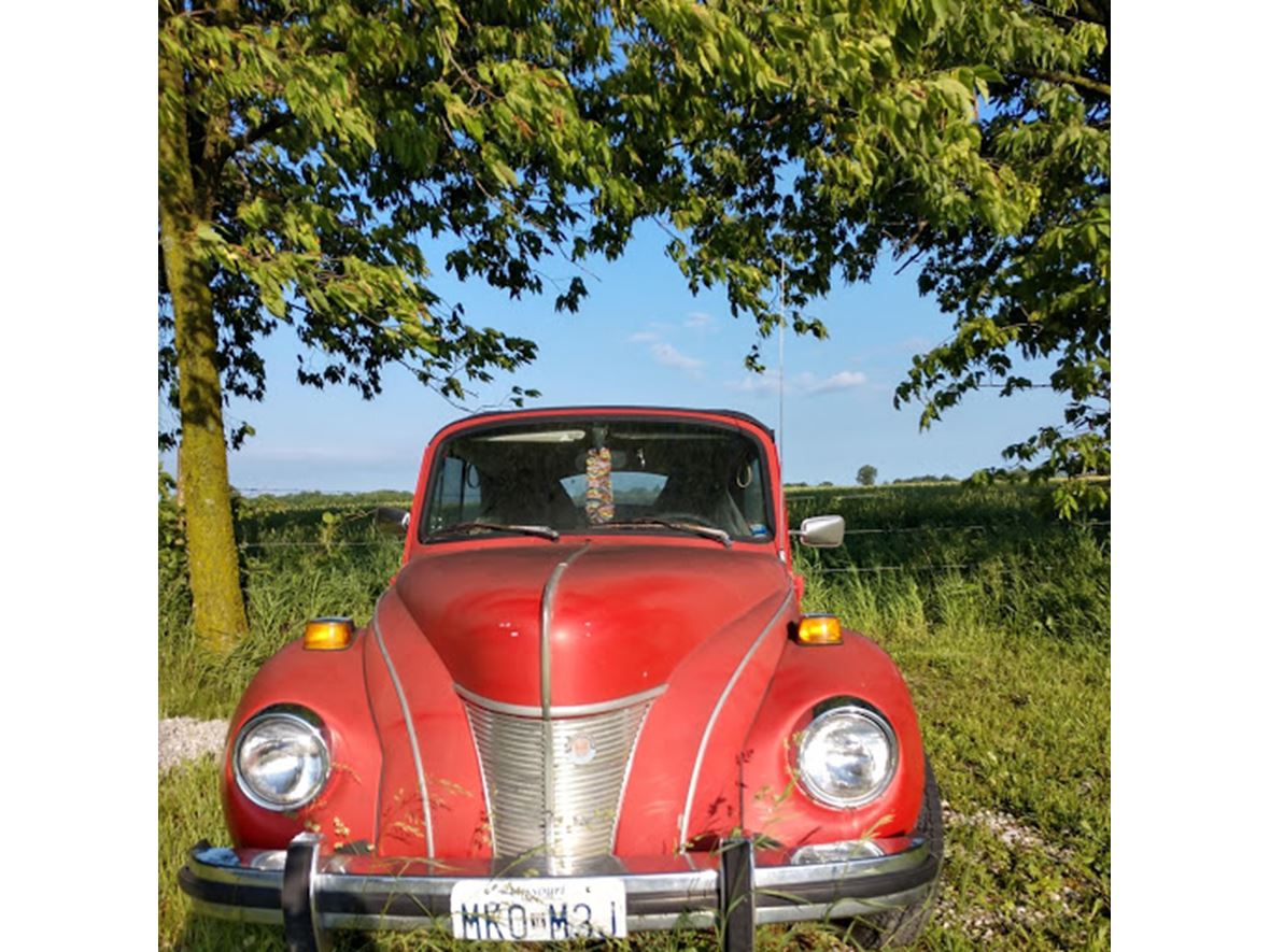 1974 Volkswagen Beetle Convertible for sale by owner in Perry